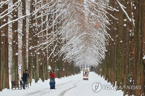 눈 내린 담양 메타세쿼이어길 (담양=연합뉴스) 10일 폭설이 내린 전남 담양 메타세쿼이어길 설경. 2018.1.10. [담양군 제공=연합뉴스]