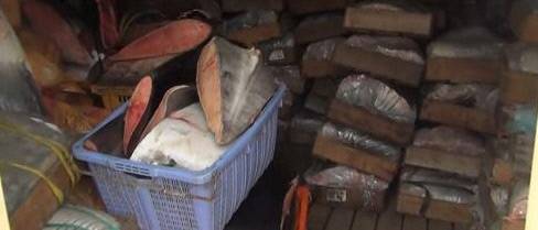 경찰이 2016년 4월6일 수색한 울산 불법 고래고기 유통업자의 냉동창고 나무 상자 등에 고래고기가 수북이 담겨 있다. 울산경찰청 제공