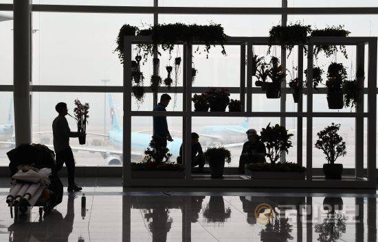 3층 출국장 A카운터 창가 쪽에 자리한 허브 화분들.