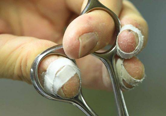 세월의 흔적이 오롯이 녹아 있는 장인의 손