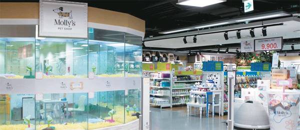 반려동물 전문용품과 호텔, 놀이터, 애견미용숍 등을 한곳에서 운영하는 몰리스펫샵 가든파이브점 매장 모습 [사진 제공 = 이마트]