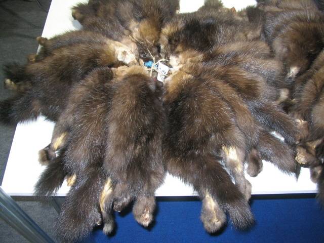 ▲ 이르쿠츠크 모피 시장. ⓒ이병한