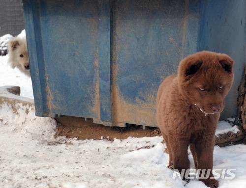 【서울=뉴시스】조수정 기자 = 박신흥 '개네동네' 중 부부싸움 그 이후.