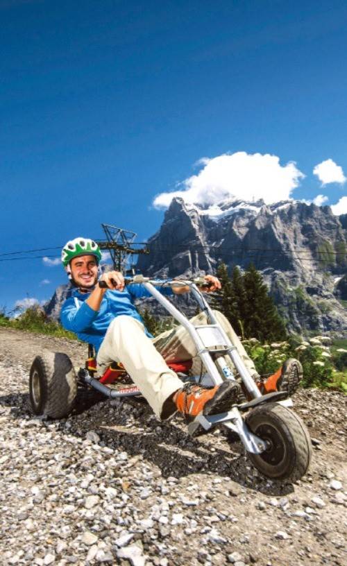 그린델발트에서 즐길 수 있는 액티비티 마운틴 카트