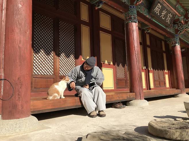 24일 오전, 전남 순천시 조계산에 있는 송광사에서 보경 스님과 고양이 ‘냥이’가 햇살을 쬐며 시간을 보내고 있다.