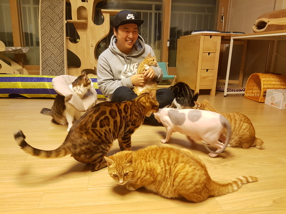 이시야마씨는 몸이 아파 평생 돌봐야 하는 길고양이와 외국에서 입양한 고양이 총 12마리를 키우고 있다.