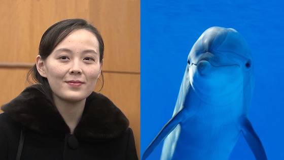 북한 김여정은 재주 많은 돌고래 관상. [백재권]