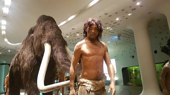 한반도의 호모 사피엔스 (용곡인) (사진=전곡선사박물관 촬영)