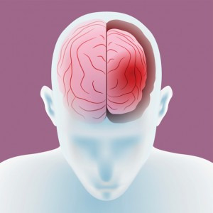 좌뇌형 인간, 우뇌형 인간 따로 있을까? - GIB 제공