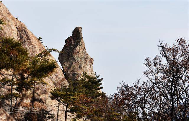 대장도의 자랑거리인 ‘할매 바위’. 아기를 업은 채 돌이 되었다는데, 상상력이 풍부한 사람에게 잘 보일 듯하다.