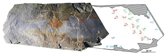 도마뱀 발자국화석 이암 블록과 발자국 도면. 한국지질자원연구원 제공