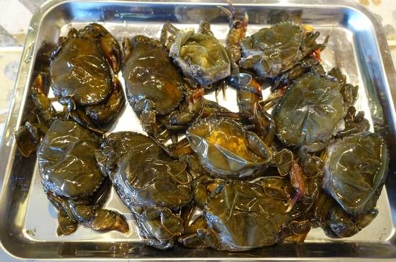 뿌팟봉커리의 재료인 소프트 셸 크랩. 게는 성장단계마다 허물을 벗는데, 허물을 벗으면 껍데기가 한동안 물렁물렁하다. 그때 포획한 것이다.