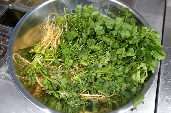 동남아 음식에 많이 사용하는 허브인 고수.