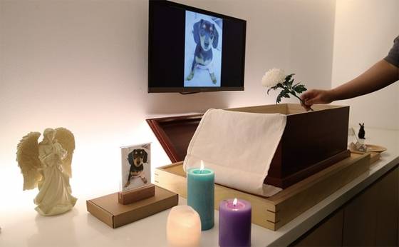 경기도 광주시에 있는 동물장묘업체 ‘펫포레스트’에서 반려견의 입관식을 치르고 있다. [김현동 기자]