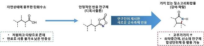 연구진이 개발한 새로운 이리듐 촉매로 만든 질소화 반응 메커니즘