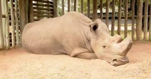 다니엘 슈나이더 박사가 촬영해 트위터에 공개한 사진