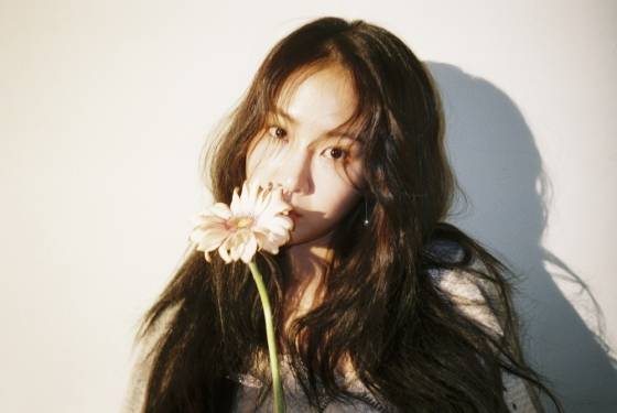 소유