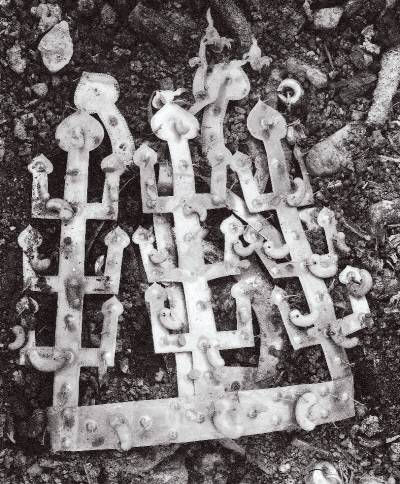 서봉총 금관 출토 모습.