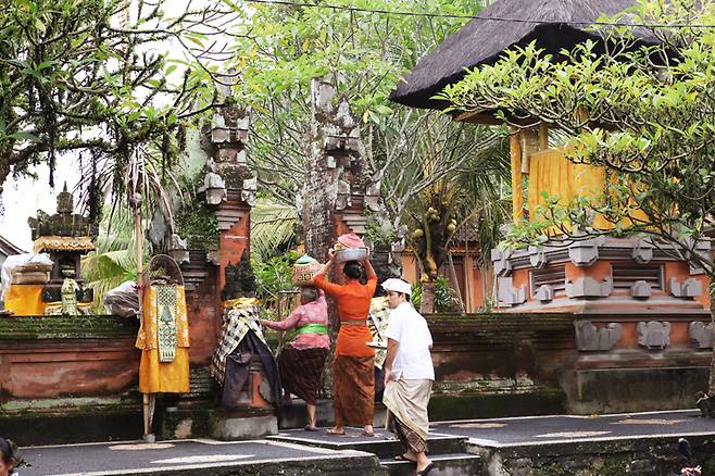 발리 우붓의 풍경