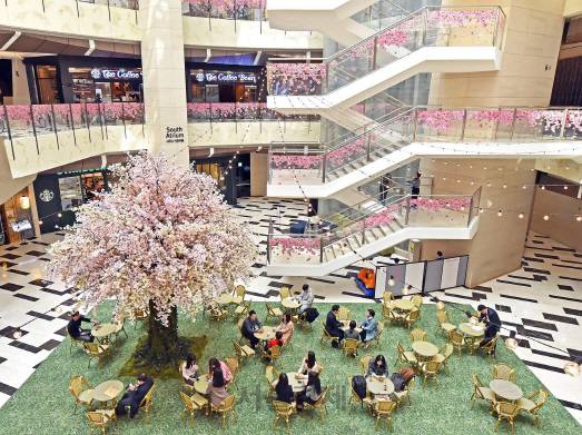 IFC몰 벚꽃트리