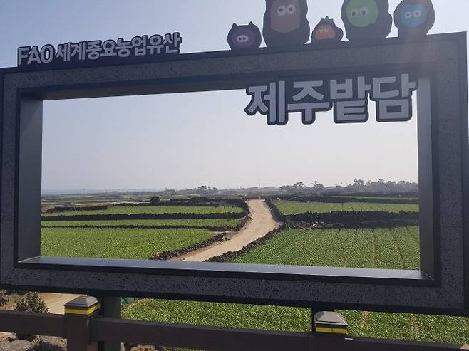 제주시 구좌읍 월정리 밭담테마공원. 농림축산식품부 제공