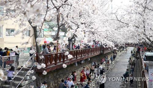 봄의 입구, 진해 군항제 (창원=연합뉴스) 김동민 기자 = 제56회 진해군항제 전야제인 31일 오후 경남 창원시 진해구 여좌천 일대를 찾은 시민이 벚꽃을 보며 봄을 만끽하고 있다. 2018.3.31       image@yna.co.kr