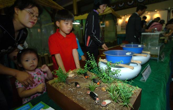 전북 무주군 지남공원 일대에서 열린 반딧불축제를 찾은 관광객들이 반딧불이 생태 환경등 성장과정을 살펴 보고 있다. [중앙포토]