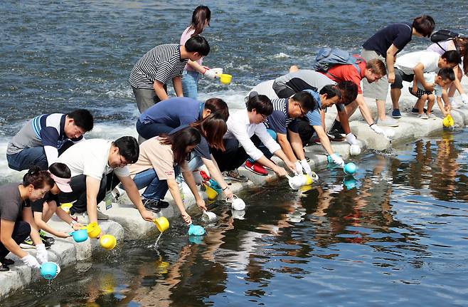 제21회 무주반딧불축제 이틀째인 지난해 8월 27일 전북 무주군 무주읍 남대천에서 관광객과 주민들이 반딧불이의 먹이인 다슬기를 방사하고 있다.무주군은 반딧불이 먹이인 다슬기가 농약 살포와 무차별한 채취 등으로 개체수가 줄면서 반딧불이 보호에 장애요인이 되고 있어 축제 기간을 맞아 관광객을 대상으로 행사를 마련했다. [연합뉴스]