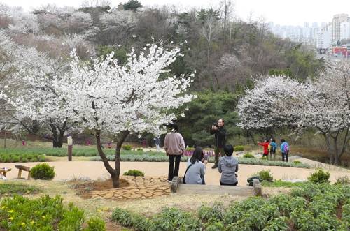 안산은 곳곳에 보고 느낄만한 공간들이 많다 [연합뉴스]