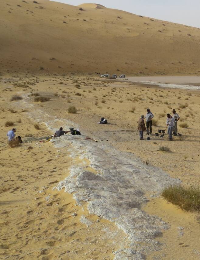 알 우스타에서 화석을 발굴하는 모습. - 사진 제공 이언 카트라이트