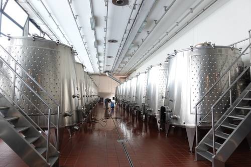 몬테 델리 비녜 와이너리. 이정국 기자