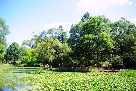 국립수목원. [사진 국립수목원]