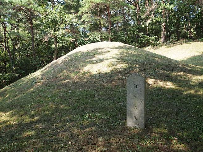 전면에서 바라본 희강왕릉의 모습, [삼국사기]에는 소산에 장사를 지냈다고 했다. ⓒ김희태