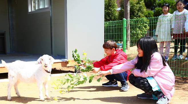 전북 김제 죽산초등학교 어린이들이 최근 입학한 염소에게 먹이를 주고 있다. 농촌진흥청 제공