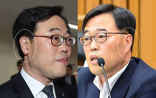 좌·우 귀의 모양과 길이가 다른 특이한 짝귀를 지녔다.