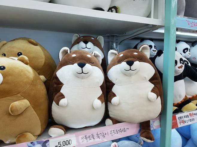 한때 다이소에서 품절 대란을 부른 시바견 모찌 인형. 최우리 기자