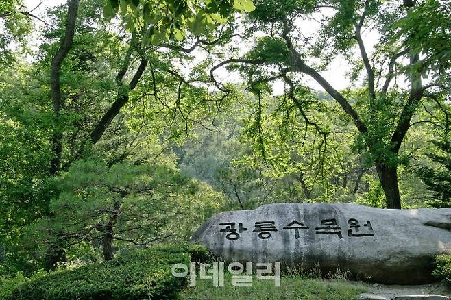 국립수목원 이미지