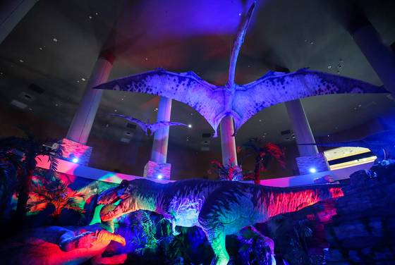 해남 우항리 공룡화석지 내 공룡박물관. 공룡 조형물이 살아있는 것처럼 움직이거나 소리를 낸다. 프리랜서 장정필