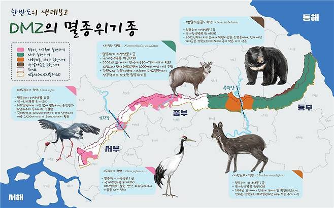 DMZ 생태 지도. [국립생태원 제공]