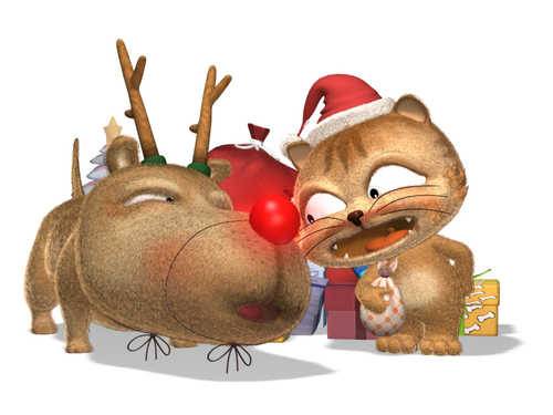 '게으른 고양이 딩가' [연합뉴스 사진자료]