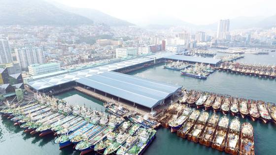 시대에 따라 각기 다른 의미를 지니는 부산항. 최근 대형선망업계가 "한일어업협정 결렬 장기화와 어자원 감소 등으로 조업할수록 손해가 커진다"며 두 달 간 조업을 쉬기로 해 어선이 가득 차 있는 모습이다. [부산=연합뉴스]