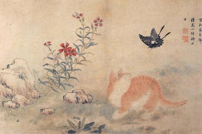 고양이묘(猫) 자와 70노인 모(？) 자의 중국 발음은 ‘먀오’로 같다. 나비접(蝶) 자와 80노인 질(？) 자의 중국 발음도 ‘띠에’로 서로 같다. 그림을 보면 칠십 노인 고양이가 팔십 노인 나비를 ‘바라보고’ 있다. 이 그림책을 선물 받은 노인이 70인데 이제 곧 80을 바라본다는 말이다. 왼쪽 이끼 낀 바위, 그 옆에 석죽화(石竹化, 패랭이의 한자 이름)가 있다. 둘 다 오래오래 건강하시라는 말이다. 고양이 바로 앞에 이제 막 꽃대 하나를 올려 꽃을 피운 제비꽃 여의초를 볼 수 있다. 꽃대 모양이 가려운 데를 마음먹은 대로 긁을 수 있는 효자손 ‘여의’를 닮아 여의초(如意草 같을여·뜻의·풀초)인 것이다. 늙었어도 마음먹은 것 자유롭게 하면서 사시라는 뜻이다. 참고로 나비는 ‘꼬리명주나비’다. ⓒ간송미술관