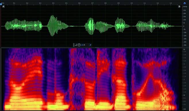 ‘너의 목소리가 보여’라는 문장을 녹음한 뒤 이를 시각화한 스펙트럼. 특정 주파수 대역에서 기계음이나 백색소음(빨간색)과 달리 사람의 목소리는 일정한 형태의 파형으로 나타난다(노란색). 스펙트럼은 사람마다 고유한 특징(성문)이 있으며, 어떤 단어를 말하는지에 따라 주파수의 분포(포먼트)가 달라진다. 초록색은 위 문장을 말했을 때 나타나는 파형이다. - 국립과학수사연구원 제공
