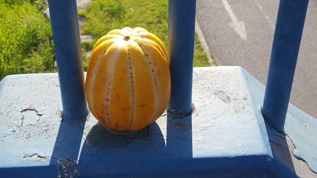 나는 참외나라 대왕! ⓒ한미숙