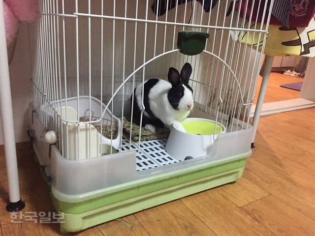 물그릇에 왼쪽 발을 올리고 소유권을 주장하고 있는 랄라. 이순지 기자