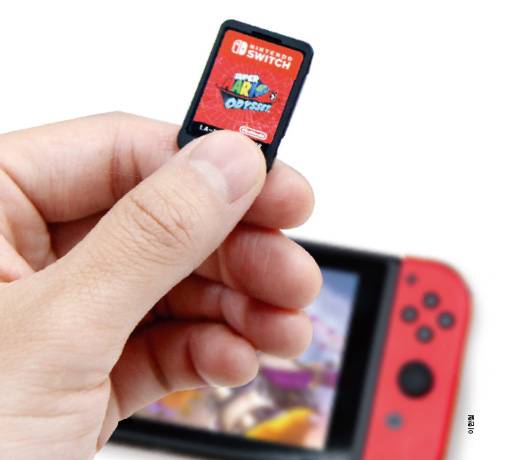 닌텐도 스위치 게임팩 - 이한철 제공