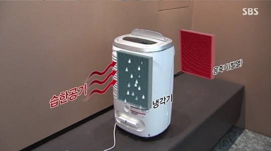 제습기 (사진=SBS 영상 캡처)