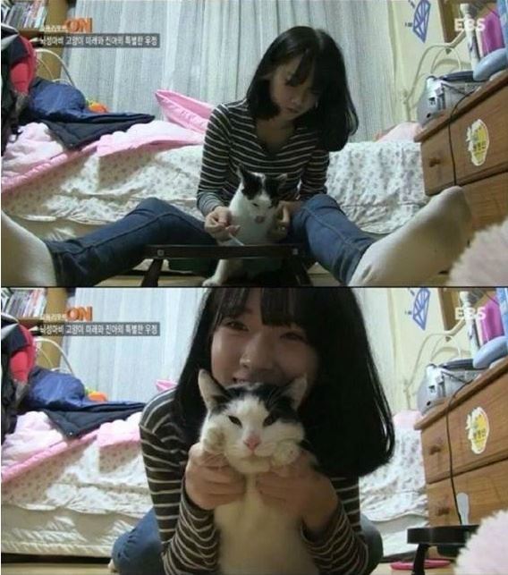 지난 2012년 방송된 동물 전문 프로그램 등을 통해 뇌성마비를 앓는 고양이를 돌보던 여고생 시절 김진아씨