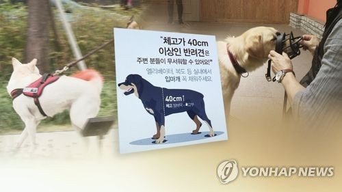 [연합뉴스TV 제공]