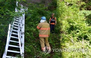 근로자와 함께 떨어진 철제 난간 (예산=연합뉴스) 19일 오전 8시 47분께 충남 예산군 신양면 대전∼당진 고속도로 당진 방향 40㎞ 지점(당진 기점) 교량에서 작업 중이던 A(52)씨 등 근로자 4명이 수십ｍ 아래로 추락해 숨졌다. 소방관계자가 떨어진 철제 난간을 살피고 있다. 2018.5.19 [예산소방서 제공=연합뉴스] 2018.5.19